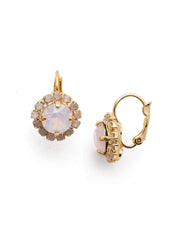 Haute Halo Dangle Earrings - EDL10BGROW
