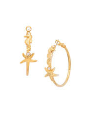 Rehoboth Hoop Earrings - EGE15BGCRY